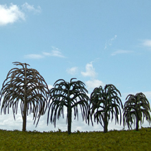 model trees